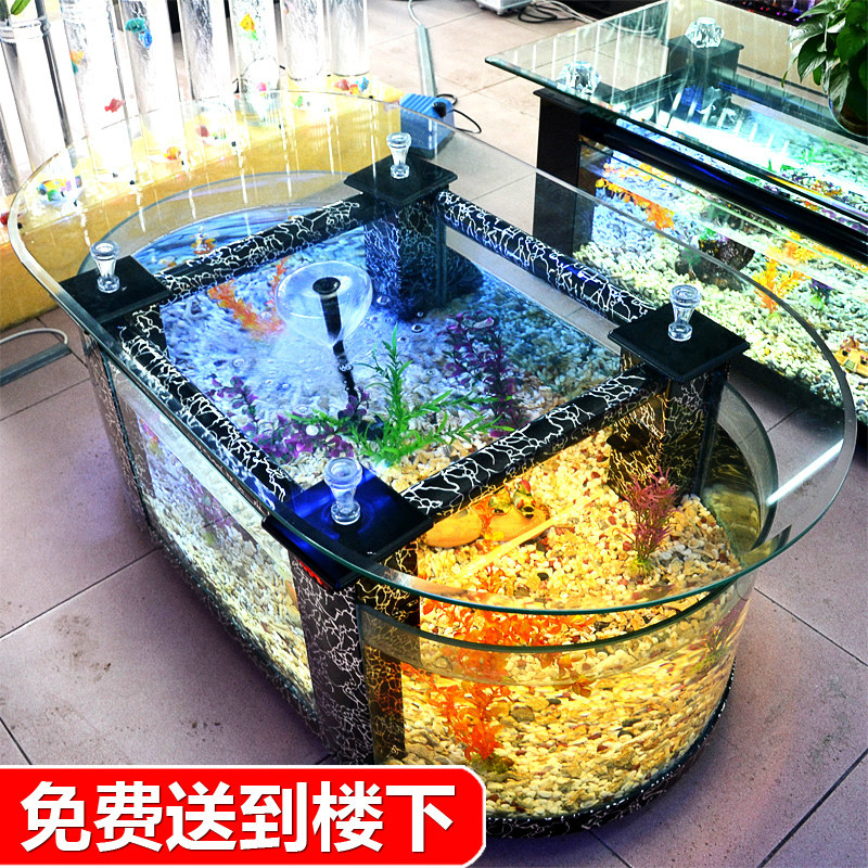 Aquarium Xxl - Large ecological coffee table fish tank