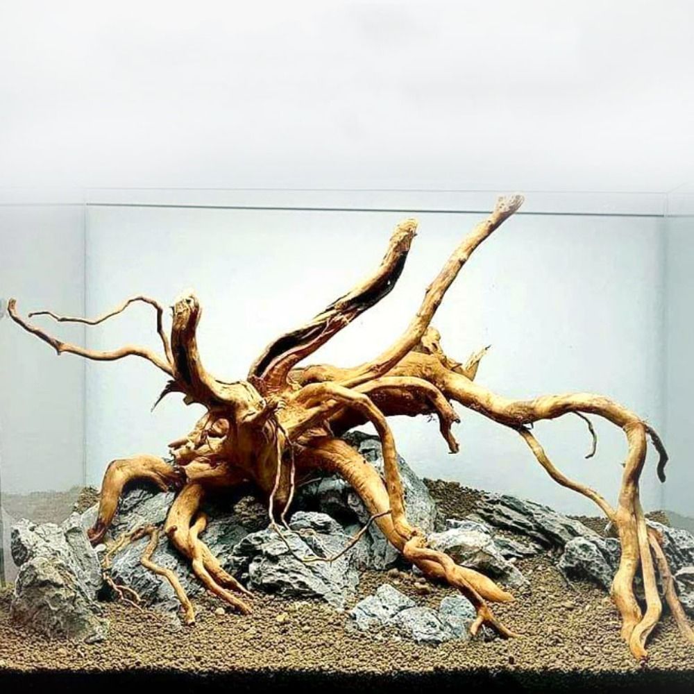 Aquarium Xxl - 20-25CM Large Aquarium Driftwood Natural Fish