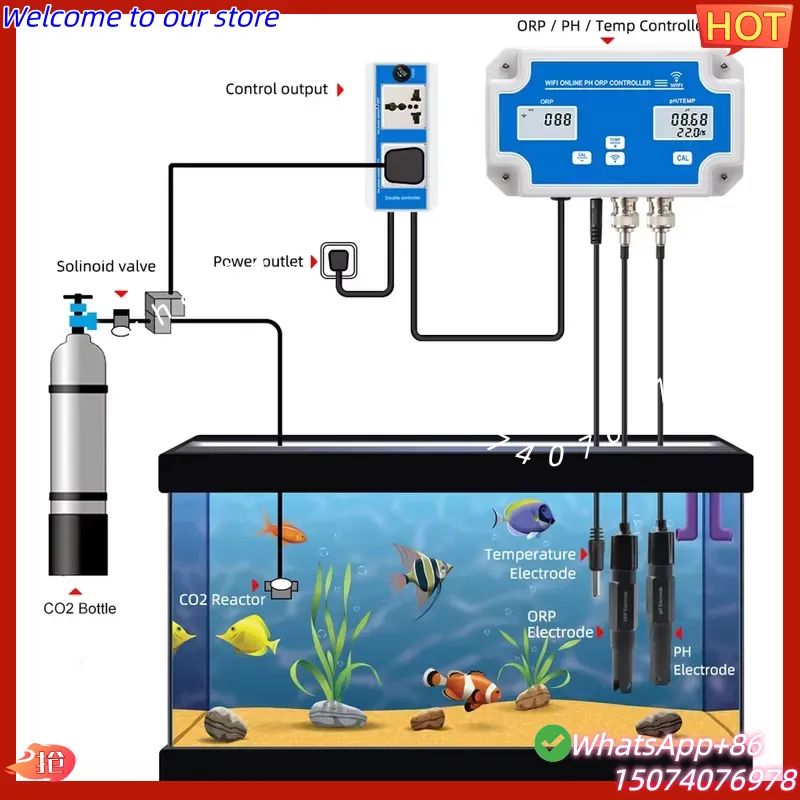 2026 Wireless WiFi Online Cont - Aquarium Fish Online 评论和价格