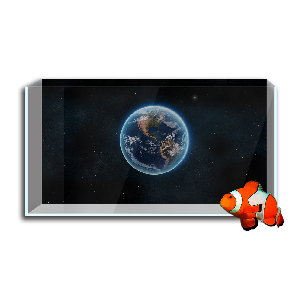 Aquarium Fish Tank  Background - Aquarium Fish Wallpaper 评论和价格