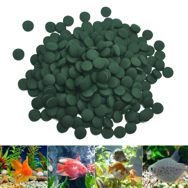100pcs High Purity Spirulina T - Aquarium Fish Vitamin 评论和价格