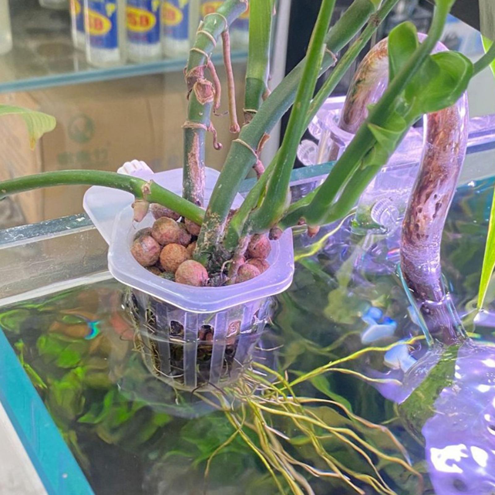 Hydroponic Plant Hanging Holde - Aquarium Fish Elevator 评论和价格