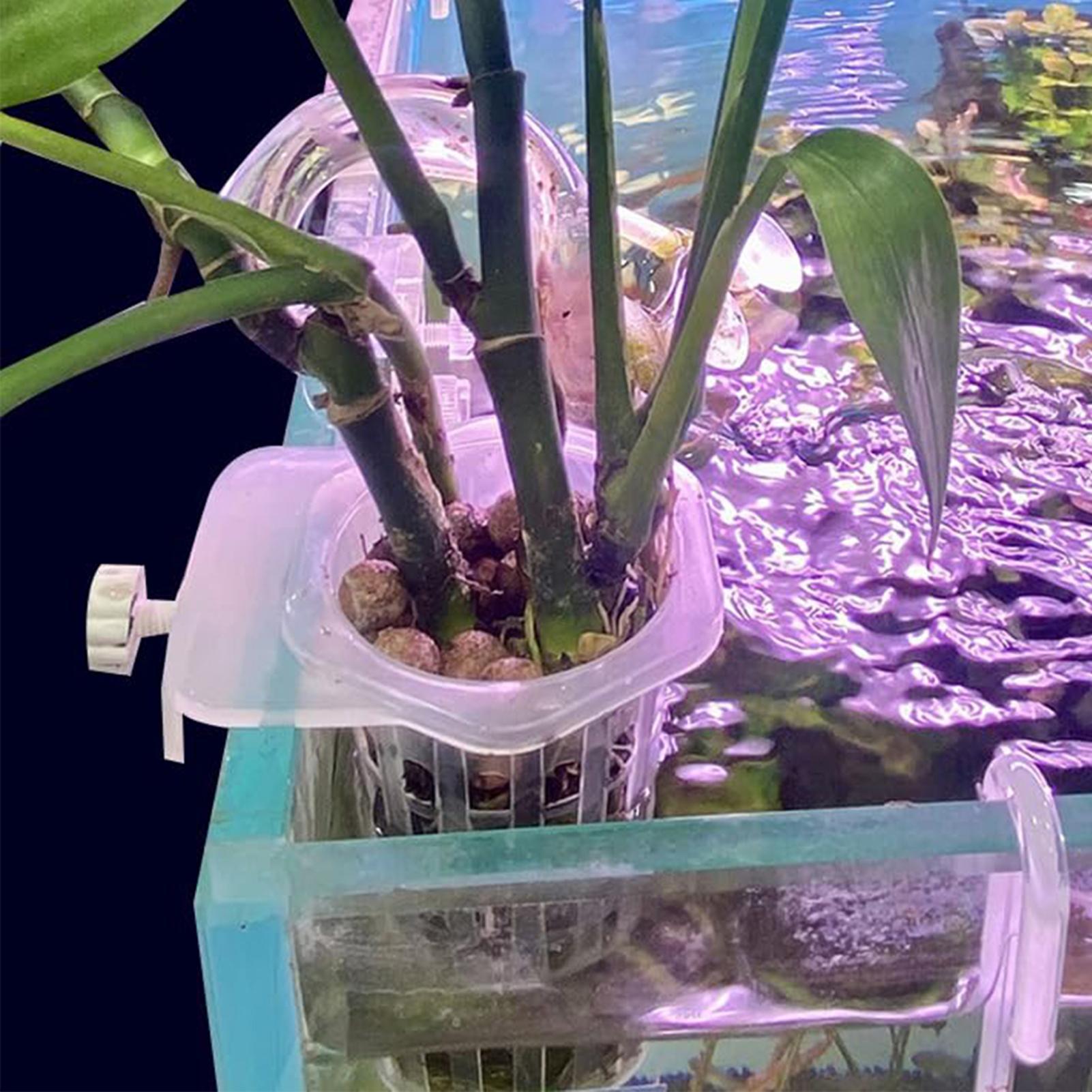 Hydroponic Plant Hanging Holde - Aquarium Fish Elevator 评论和价格