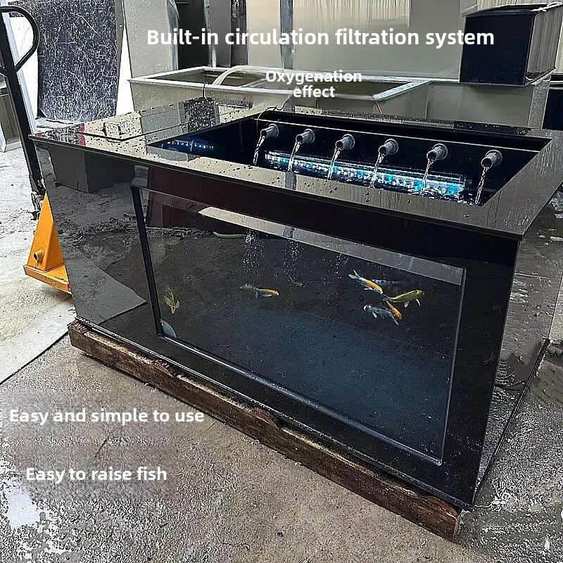 XL  Black Side-Filtered Fish T - Xl Aquarium Fish 评论和价格