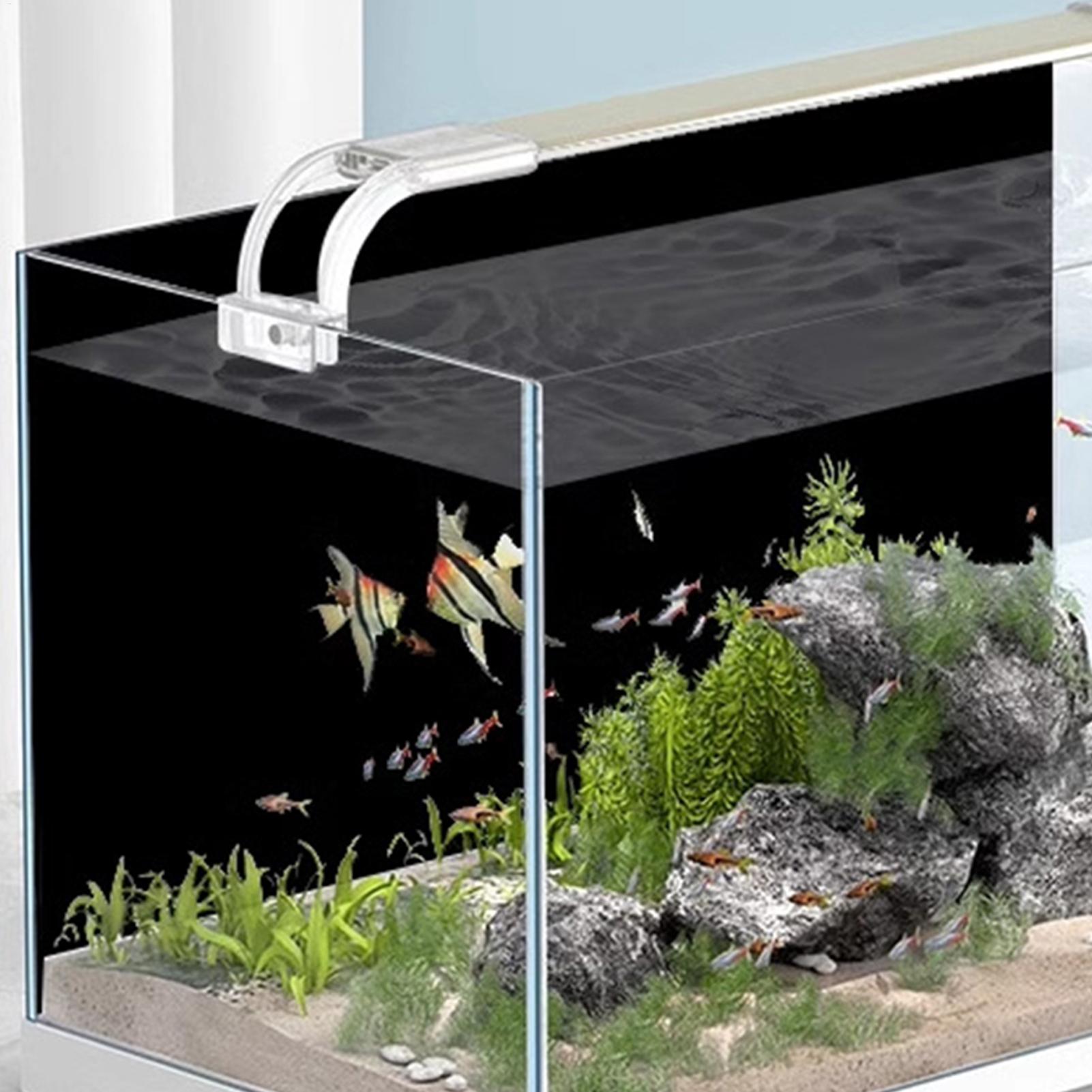 Black Aquarium Background Stat - Aquarium Fish Wallpaper 评论和价格