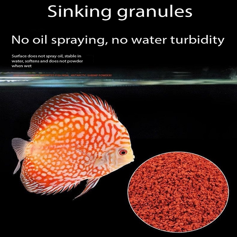 Discus Fish Food Symphysodon D - Aquarium Fish Vitamin 评论和价格