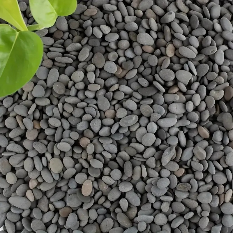 20Pcs Natural River Rocks Smoo - Aquarium Fish Farm 评论和价格