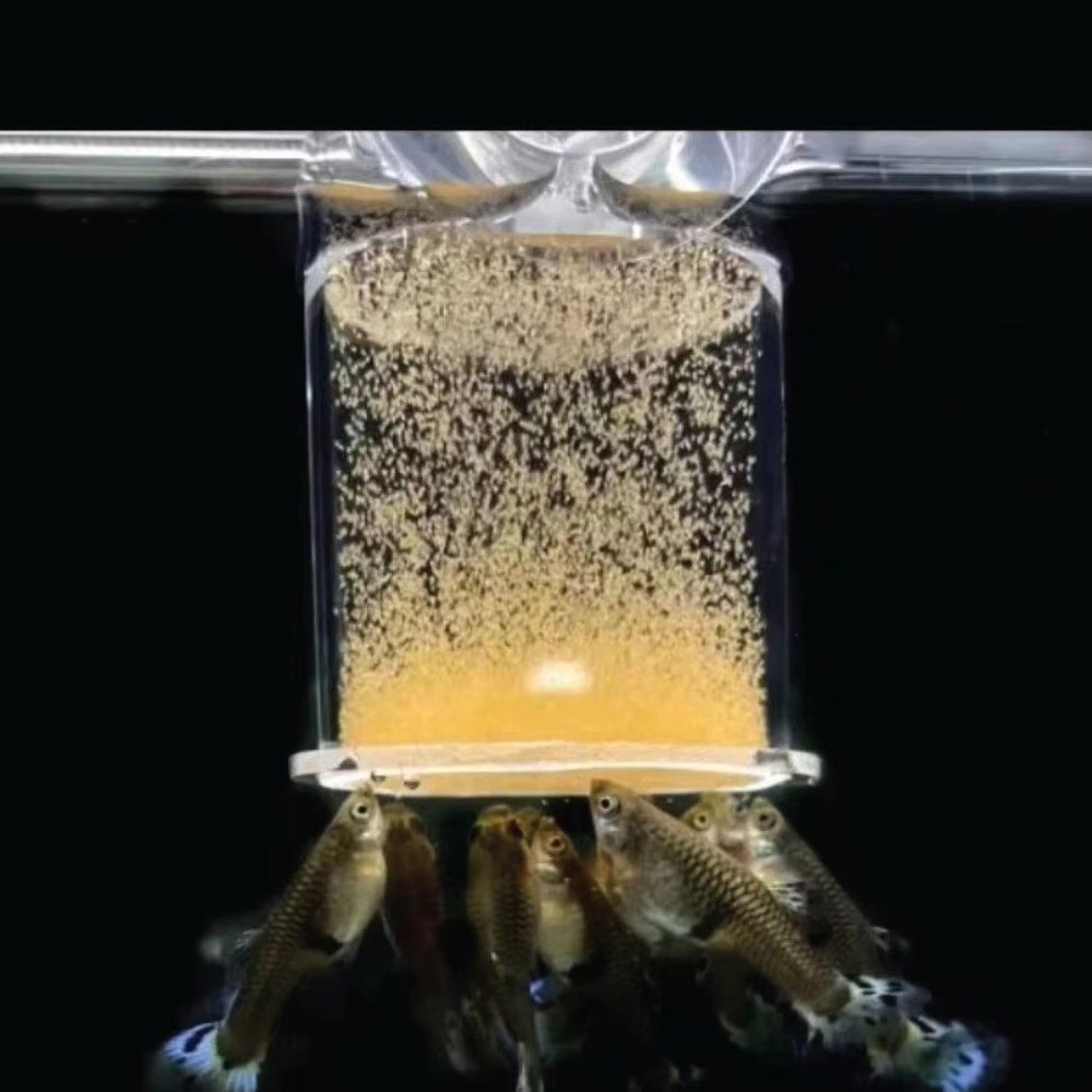 Acrylic Brine Shrimp Feeder Fi - Aquarium Fish Vitamin 评论和价格