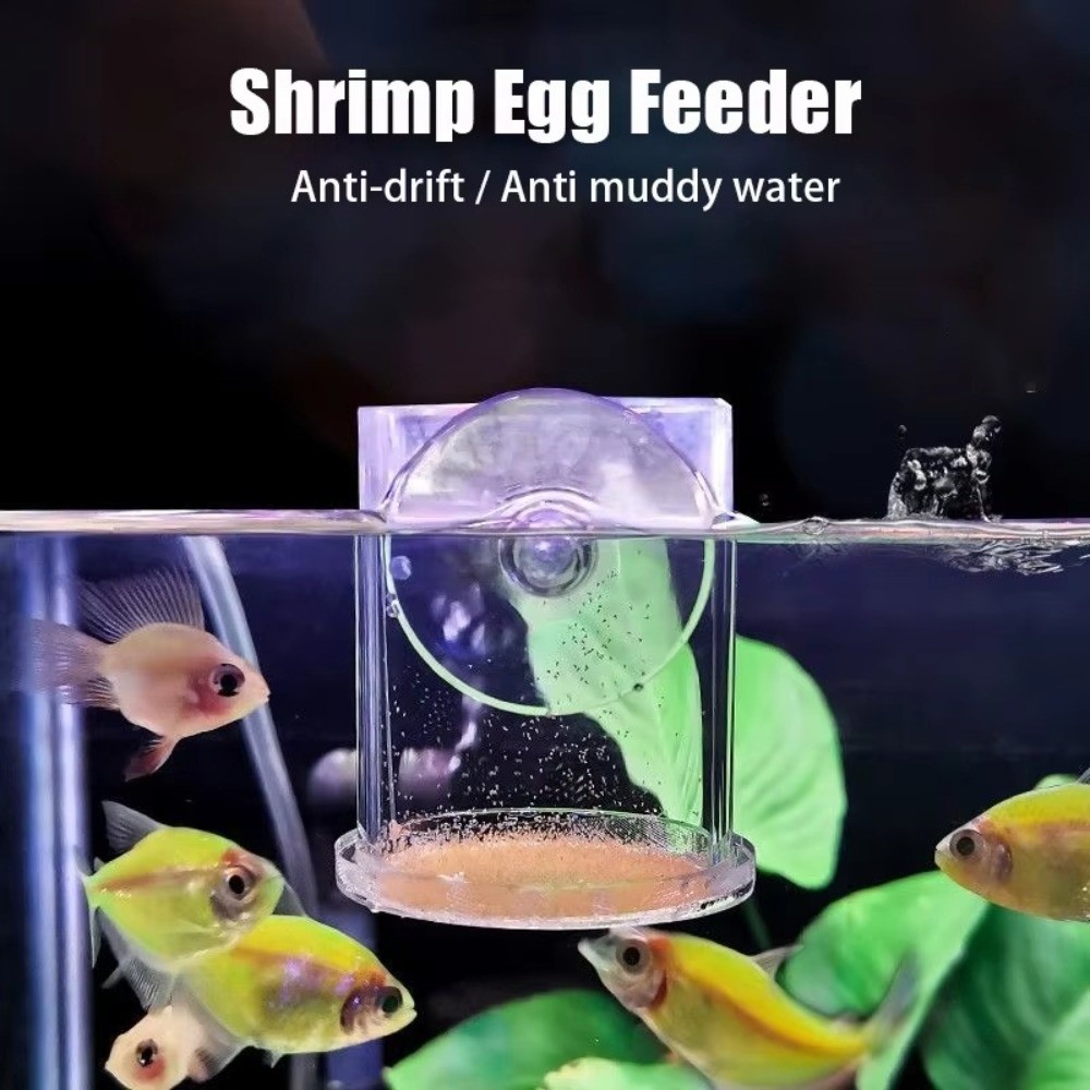 Acrylic Brine Shrimp Feeder Fi - Aquarium Fish Vitamin 评论和价格