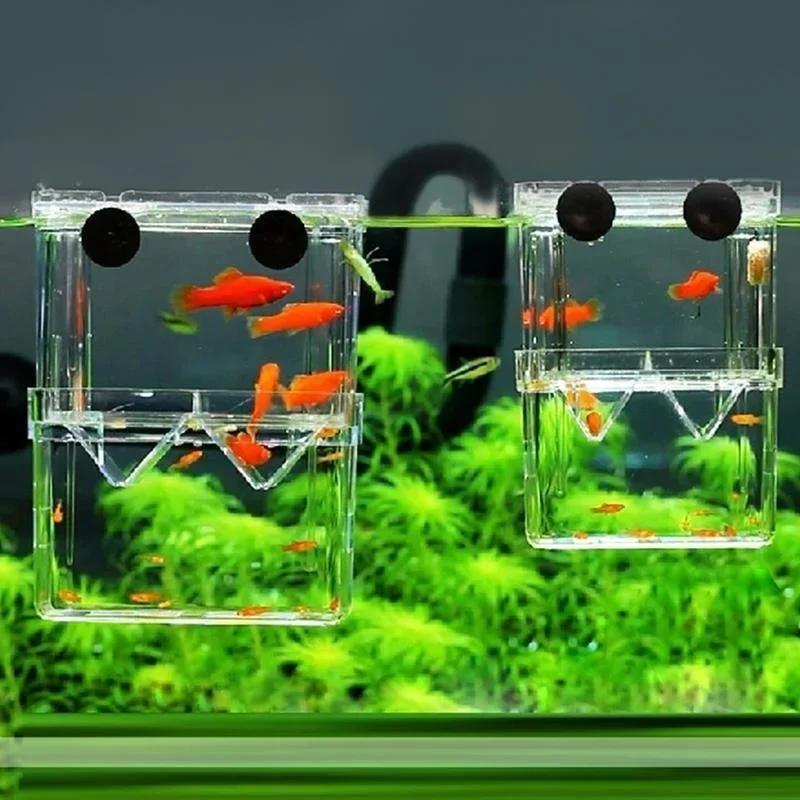 Transparent Fish Aquarium High - Aquarium Fish Cave 评论和价格