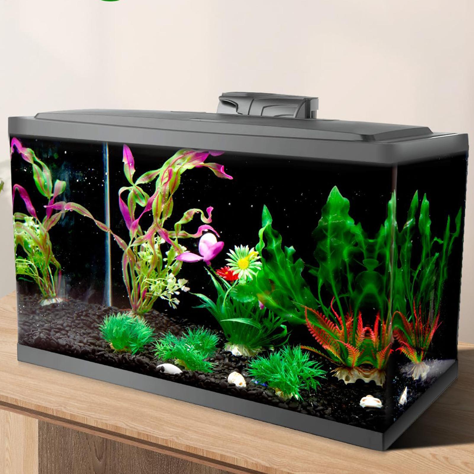Black Aquarium Background Stat - Aquarium Fish Wallpaper 评论和价格