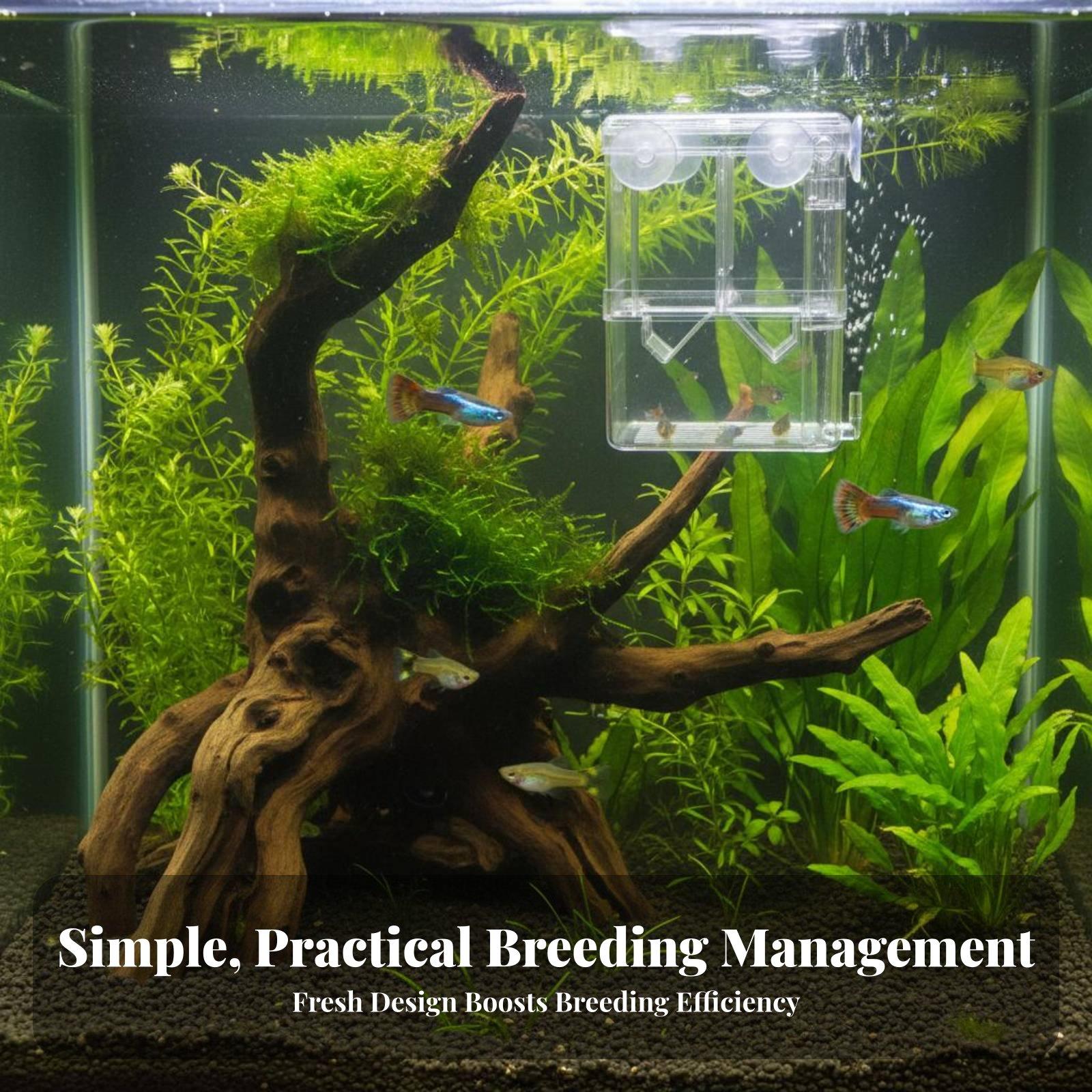 Double Layer Aquarium Breeding - Aquarium Fish Tank 评论和价格