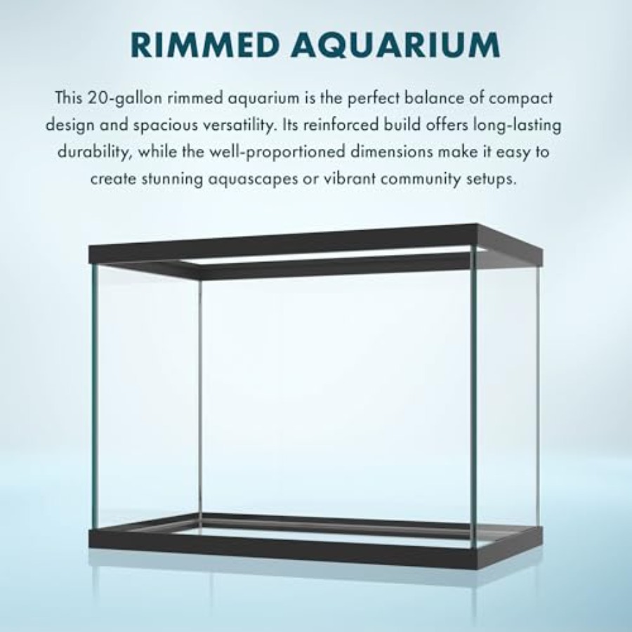 20 Gallon Glass Aquarium - 24  - Aquarium Xxl 评论和价格