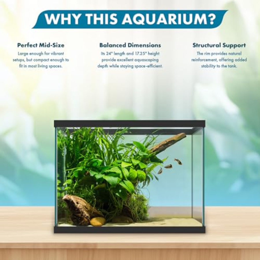 20 Gallon Glass Aquarium - 24  - Aquarium Xxl 评论和价格