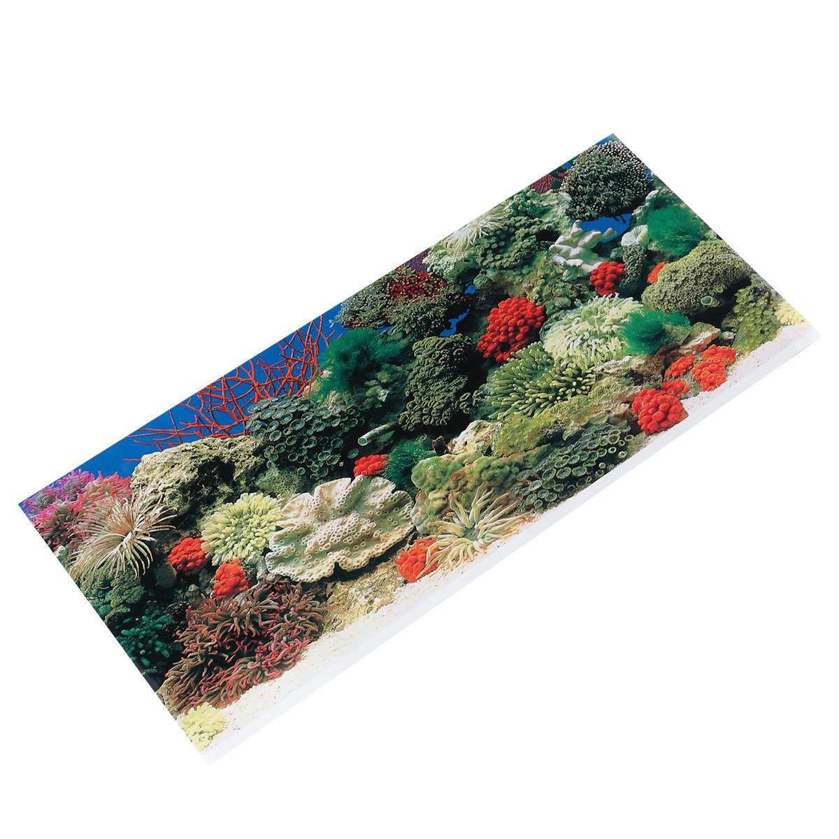 42 Cm Adhesive Wallpaper Aquar - Aquarium Fish Wallpaper 评论和价格