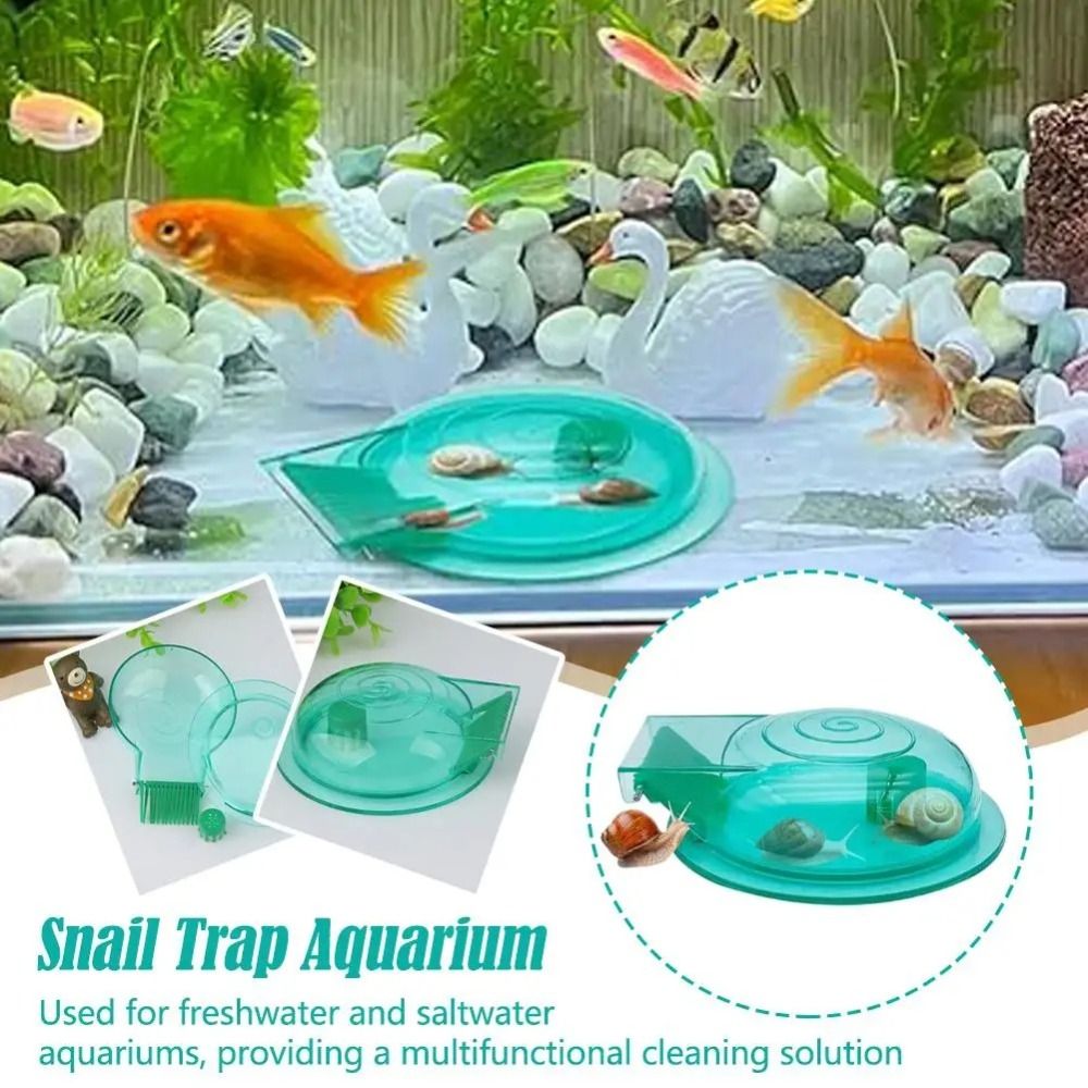 Freshwater Saltwater Aquarium  - Aquarium Fish Escape 评论和价格