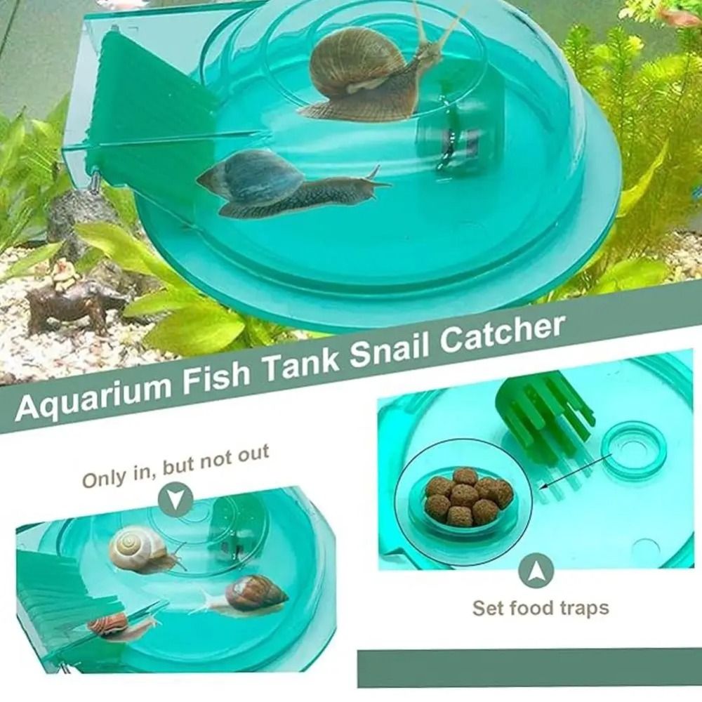 Freshwater Saltwater Aquarium  - Aquarium Fish Escape 评论和价格