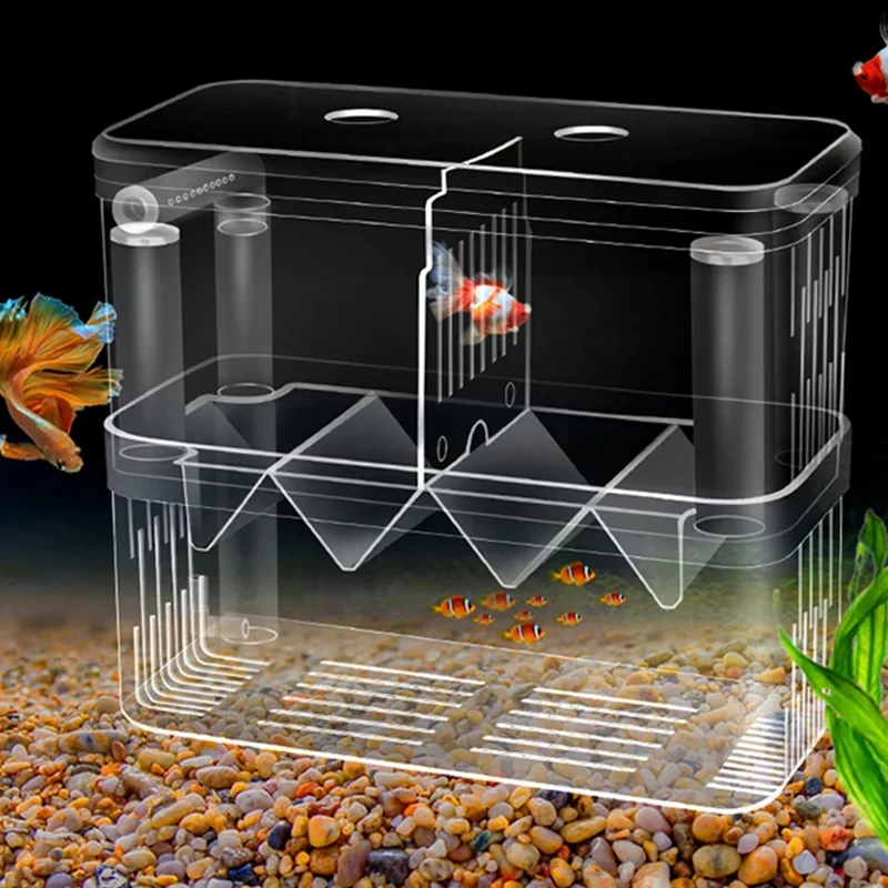 Fish Breeding Isolation Box S/ - Xl Aquarium Fish 评论和价格