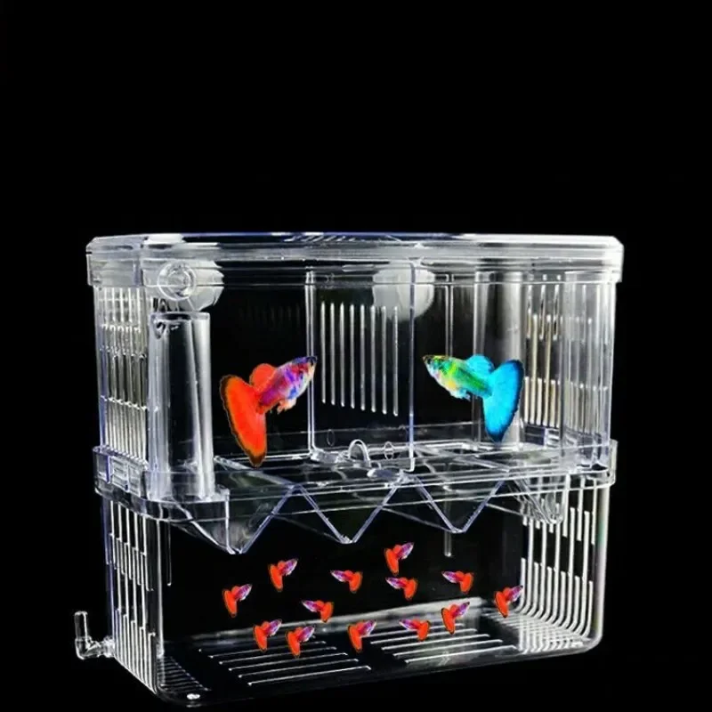 Fish Breeding Isolation Box S/ - Xl Aquarium Fish 评论和价格