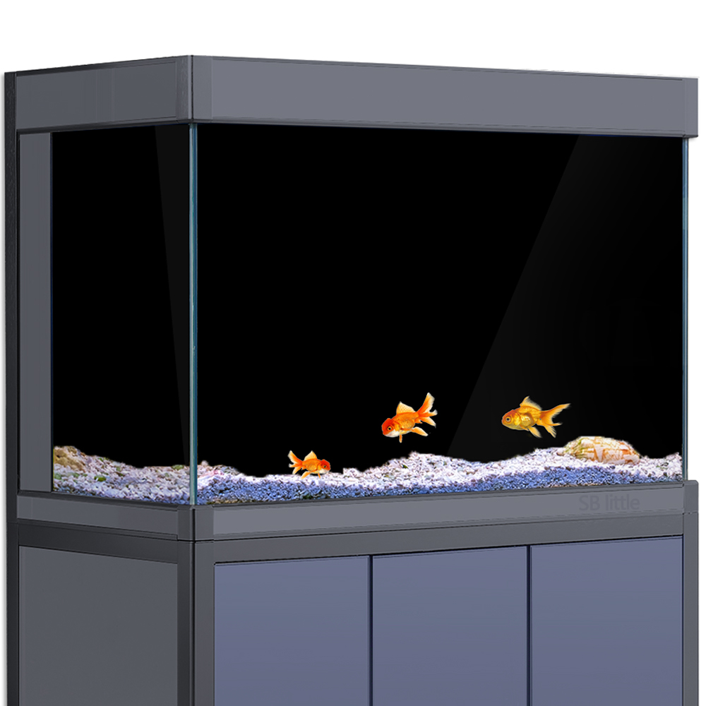 Aquarium Background Static Cli - Aquarium Fish Wallpaper 评论和价格