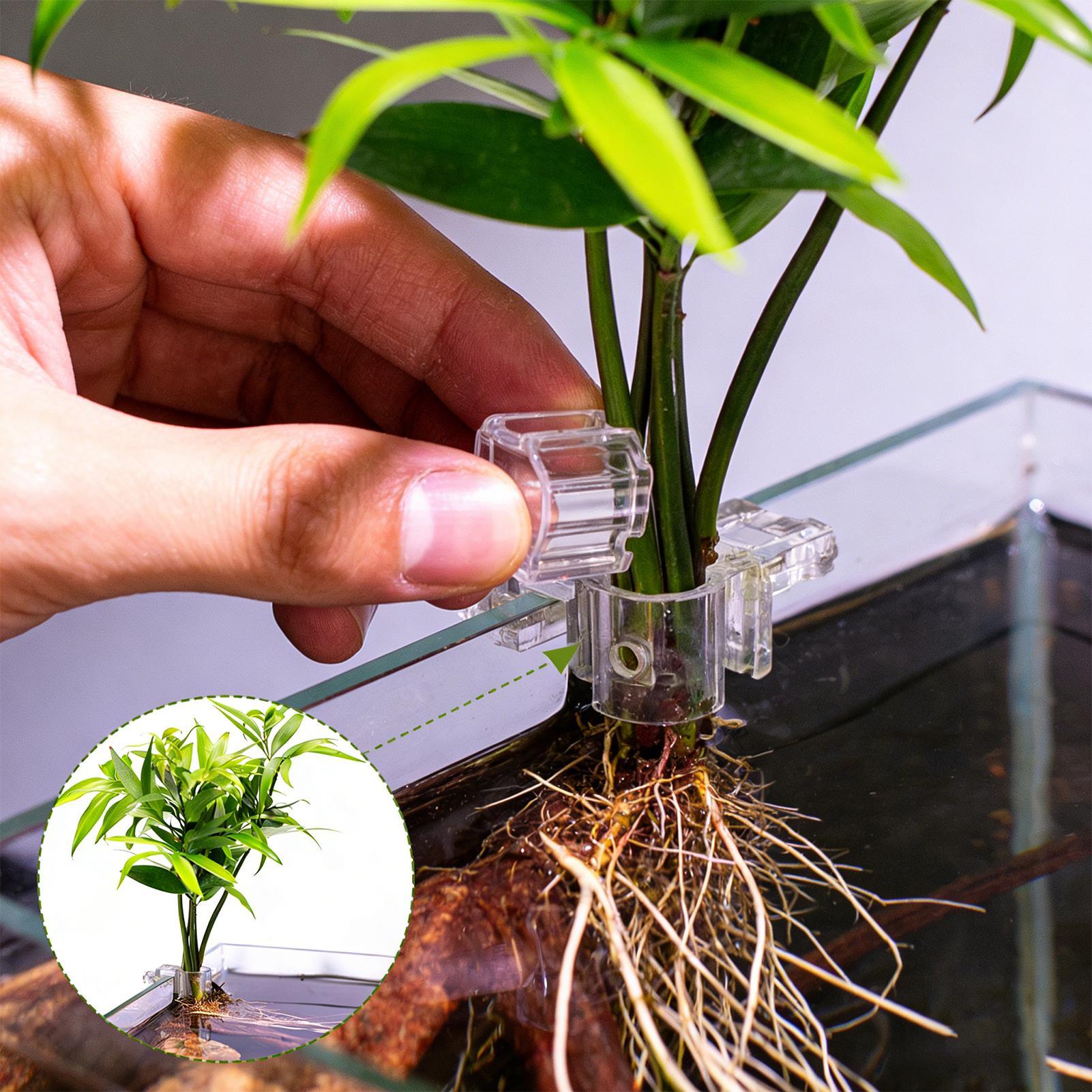 Mini Fish Tank Planter Pot 6Pc - Aquarium Fish Elevator 评论和价格