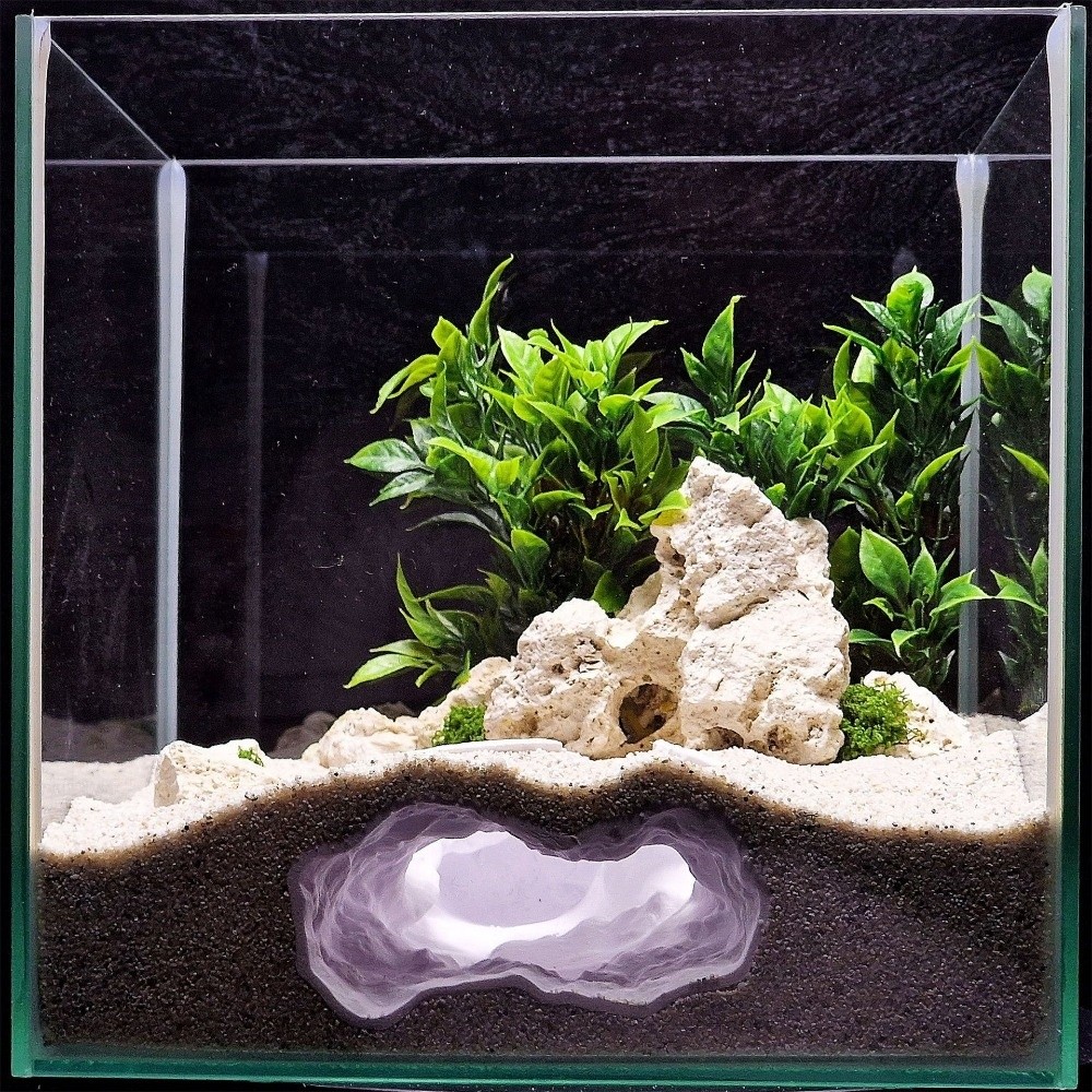 Highly Simulated Aquarium Fish - Aquarium Fish Cave 评论和价格