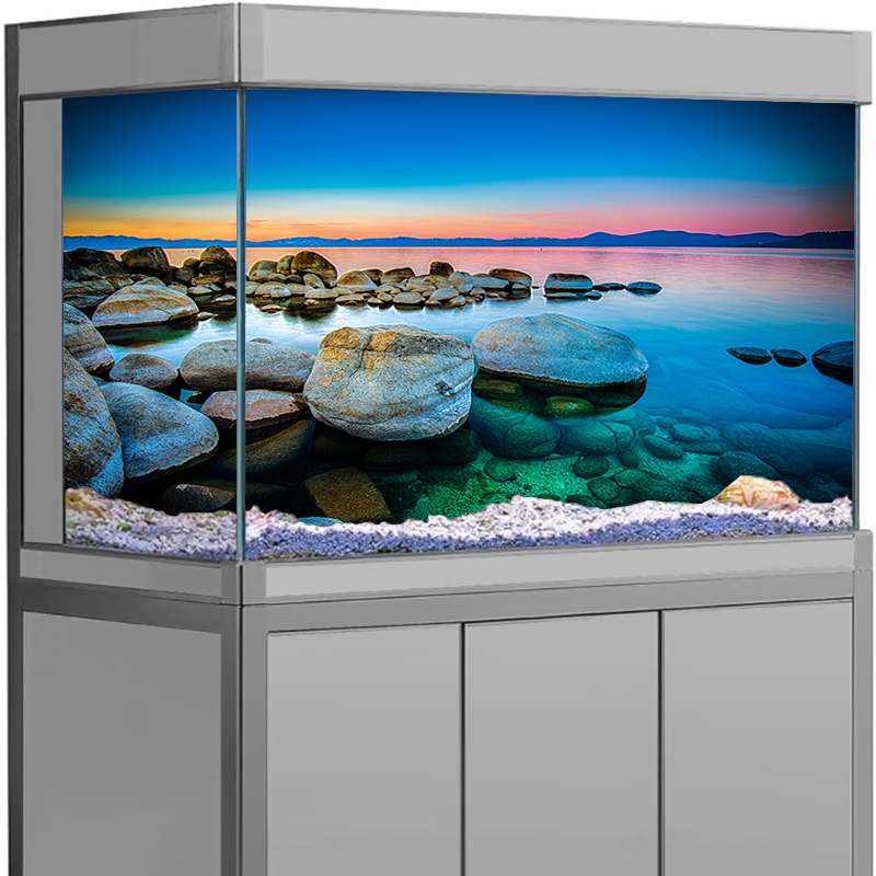 Aquarium Background Sticker St - Aquarium Fish Wallpaper 评论和价格
