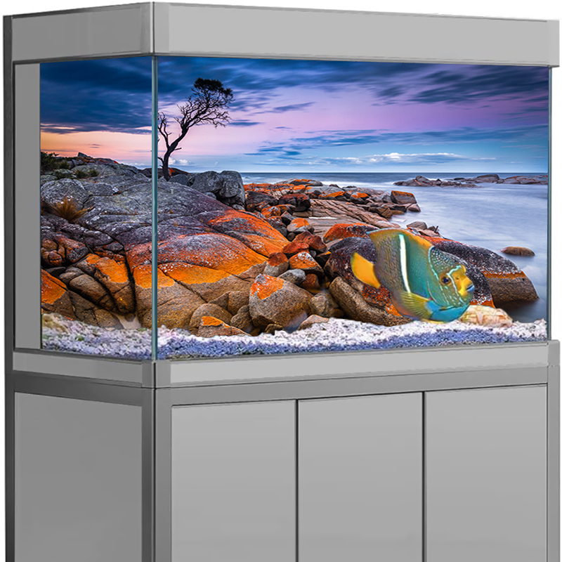 Aquarium Background Sticker St - Aquarium Fish Wallpaper 评论和价格