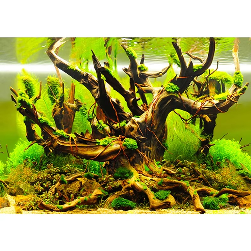 50cm Aquarium Decoration Water - Aquarium Fish Wallpaper 评论和价格