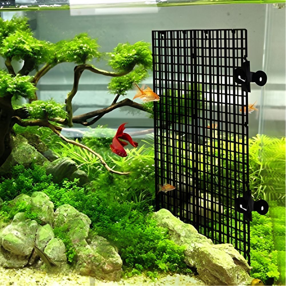 14pcs Black Plastic Aquarium G - Aquarium Fish Elevator 评论和价格