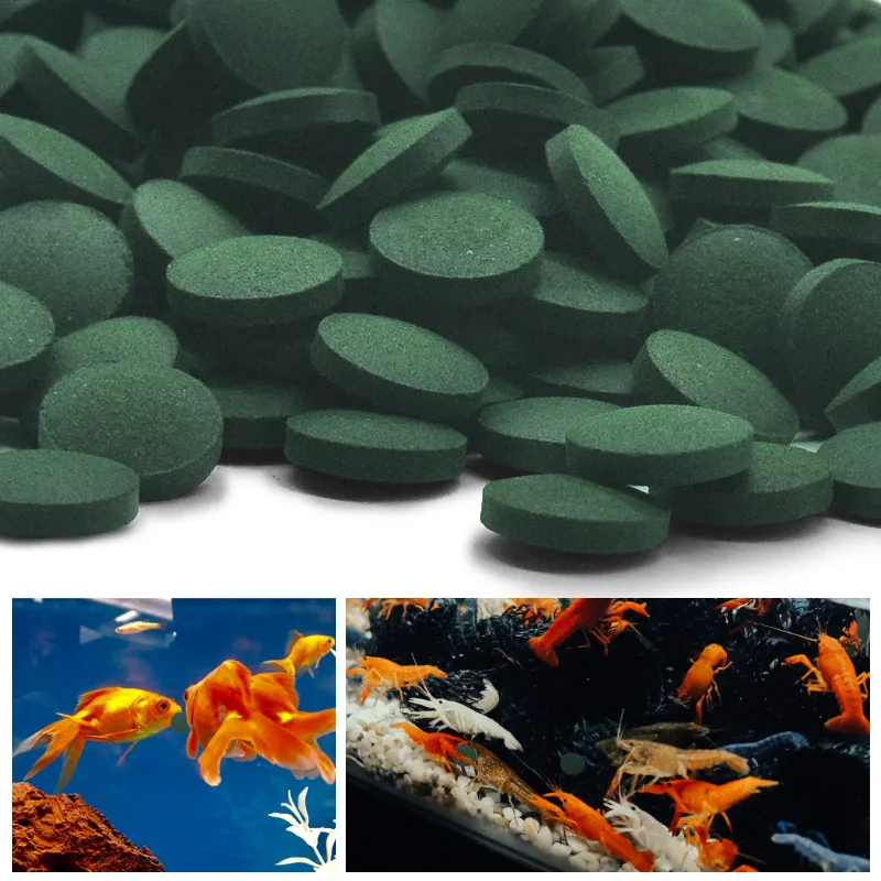 High Purity Spirulina Tablets  - Aquarium Fish Vitamin 评论和价格