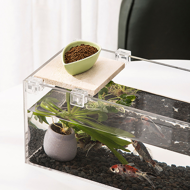 4pcs 6mm/8mm/10mm/12mm/15mm  F - Aquarium Fish Elevator 评论和价格