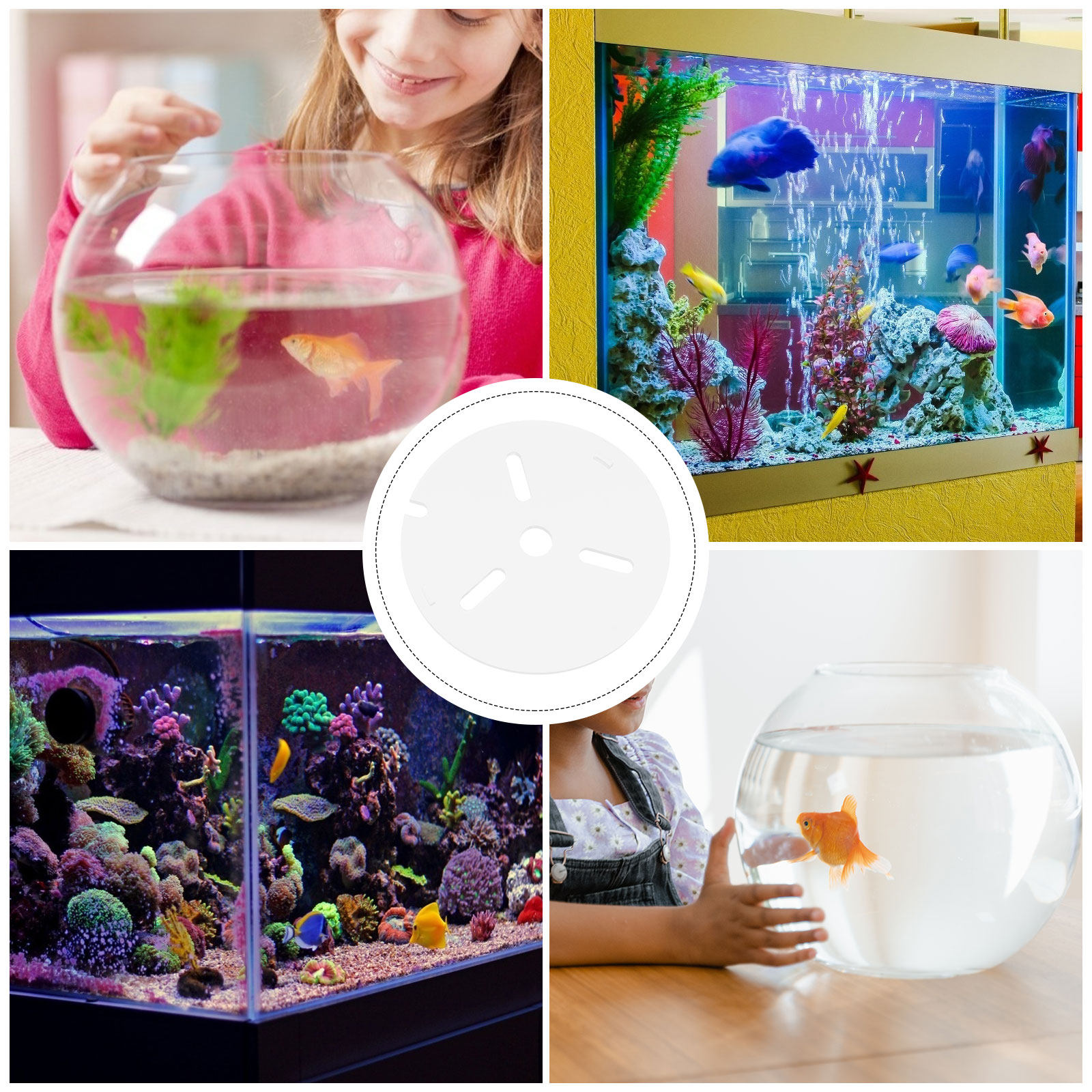 Acrylic Anti Jumping Aquarium  - Aquarium Fish Escape 评论和价格
