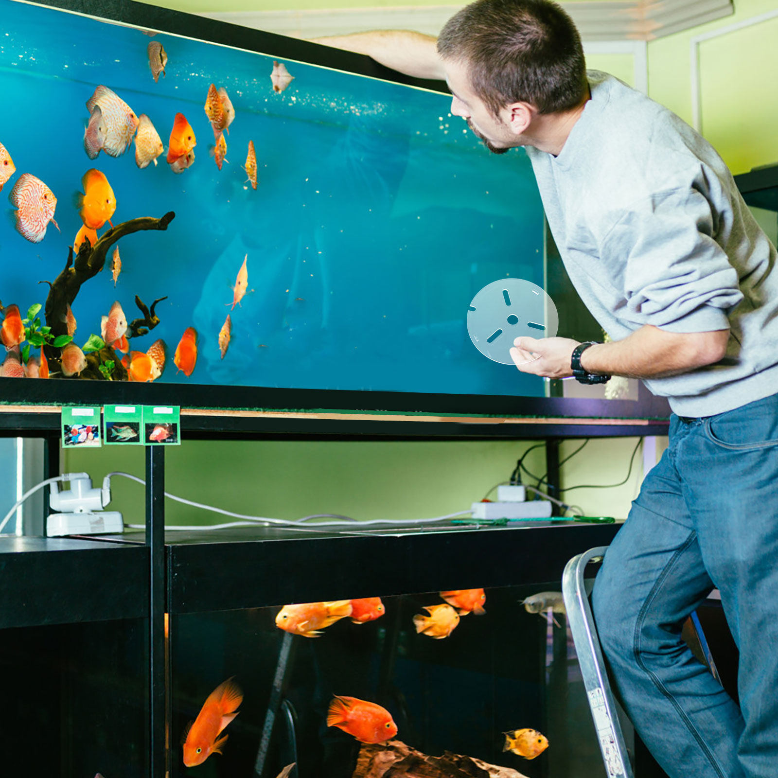 Acrylic Anti Jumping Aquarium  - Aquarium Fish Escape 评论和价格