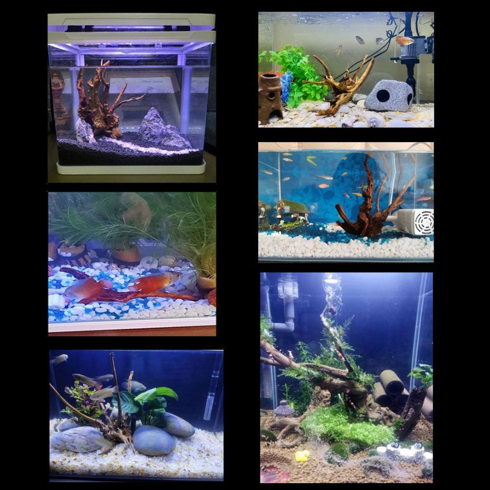 20-25CM Large Aquarium Driftwo - Aquarium Xxl 评论和价格