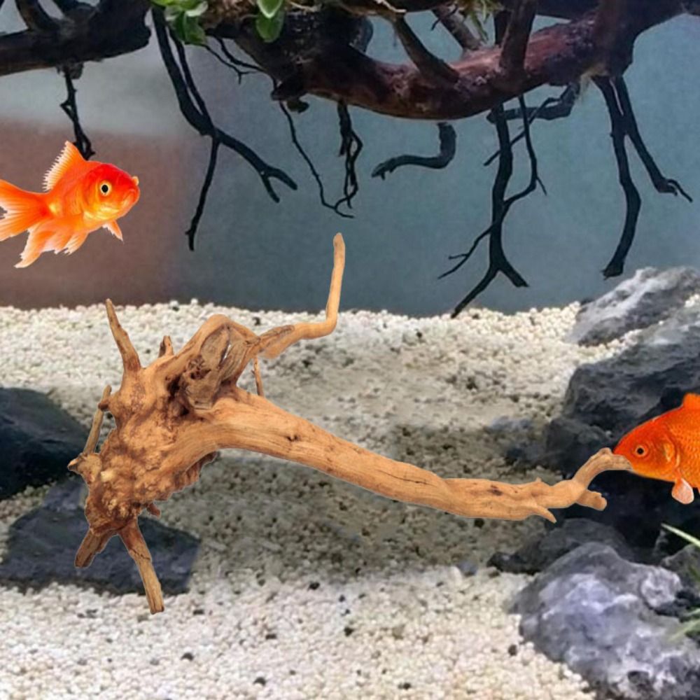 20-25CM Large Aquarium Driftwo - Aquarium Xxl 评论和价格