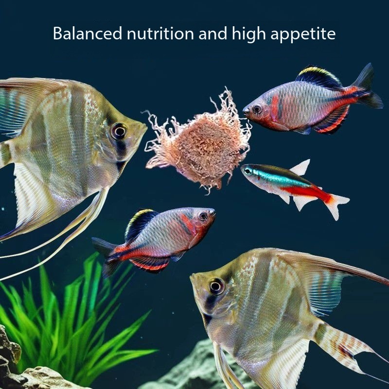 165ML/550ML High Protein Freez - Aquarium Fish Vitamin 评论和价格