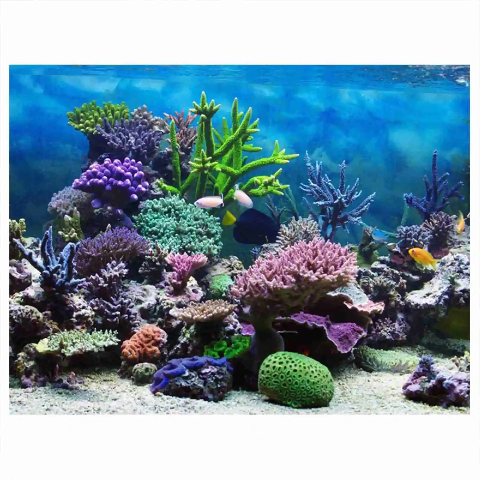 3D Aquarium Landscape Poster R - Aquarium Fish Wallpaper 评论和价格