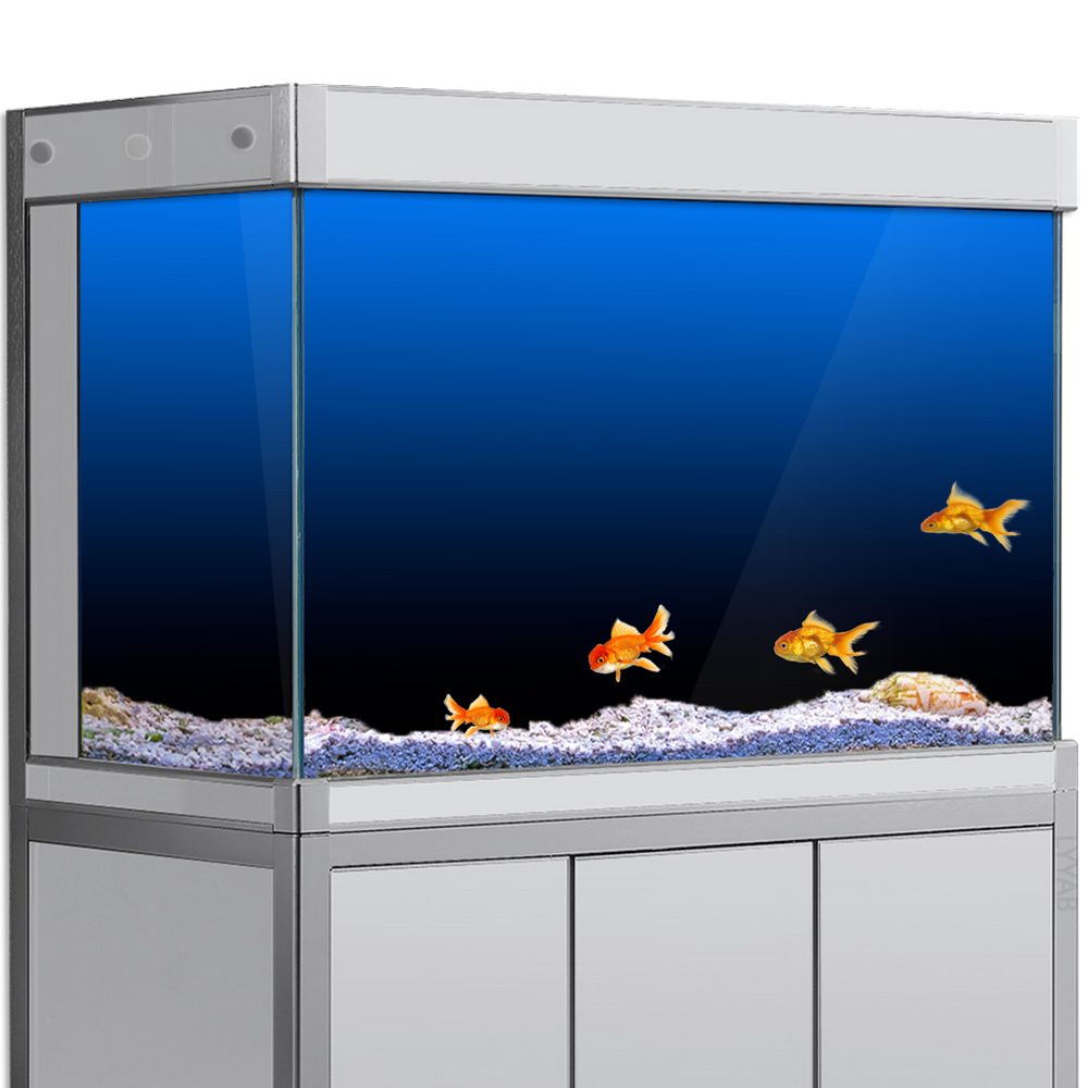 Fish Tank Background Sticker B - Aquarium Fish Wallpaper 评论和价格