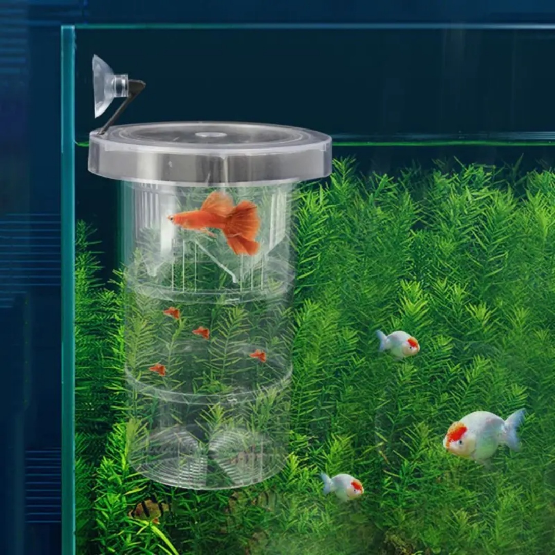 Acrylic Floating Fish Breeding - Aquarium Fish Cave 评论和价格