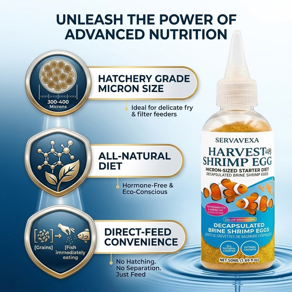 High Protein Fish Food for Bet - Aquarium Fish Elevator 评论和价格