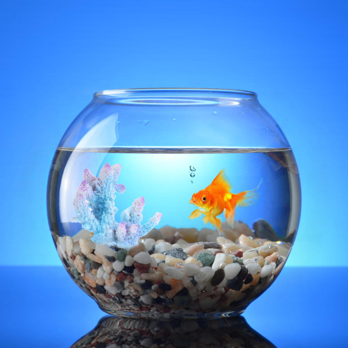 Xl-S1718 Lifelike Resin Coral  - Xl Aquarium Fish 评论和价格