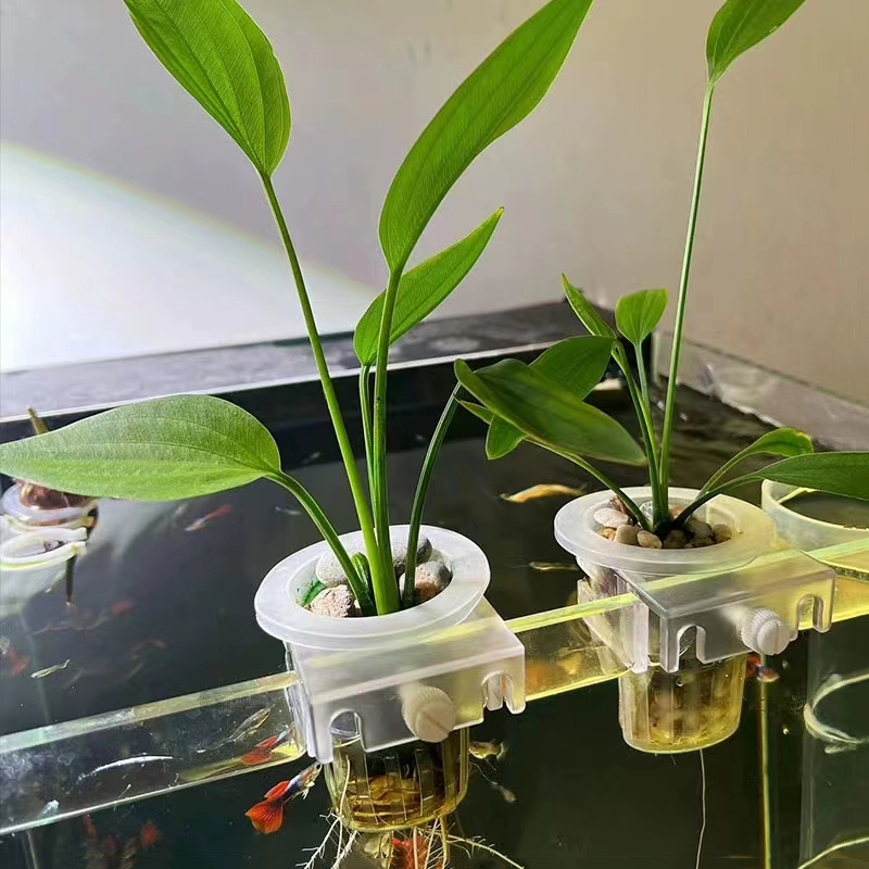Aquarium Planting Basket Hydro - Aquarium Fish Elevator 评论和价格