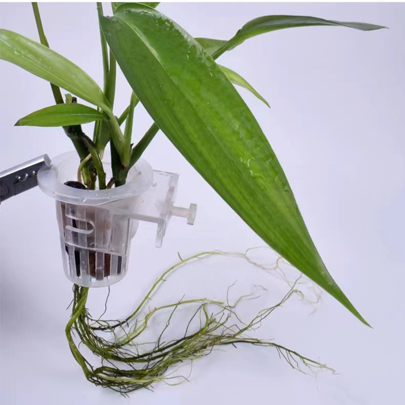 Aquarium Planting Basket Hydro - Aquarium Fish Elevator 评论和价格