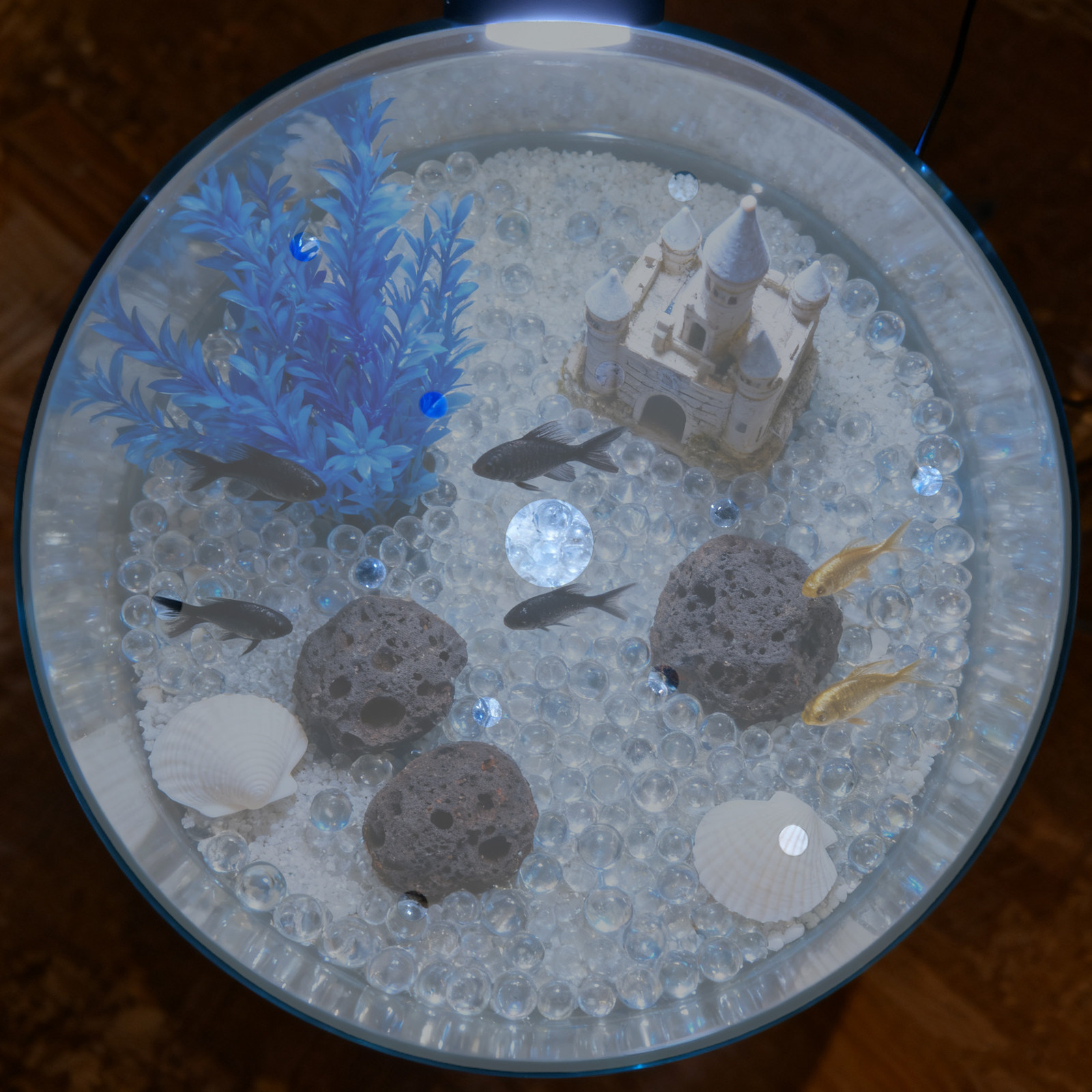 7 Inch Round Acrylic Fish Tank - Aquarium Fish Escape 评论和价格